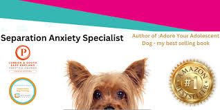 Pippin Pets with Jo Sellers- Separation Anxiety Specialist