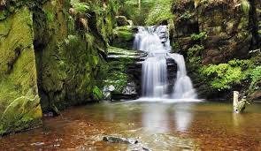 The czech republic has forest cover which is one of its major natural resources, which cover an area equivalent to 33.8% of the total land area or approximately 2.66 million hectares. Five Unusual Places To Visit In The Czech Republic King Goya