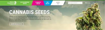Get your grow on with pacific seed bank marijuana seeds! Global Cannabis Seed Banks Are Accepting Bitcoin Featured Bitcoin News