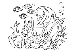 Show your kids a fun way to learn the abcs with alphabet printables they can color. Angelfish And Other Fish Breathes Under The Sea Coloring Pages Fish Coloring Pages Coloring Pages For Kids And Adults