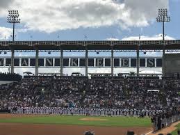 George M Steinbrenner Field Interactive Seating Chart