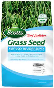 In order for a seed to germinate it needs moisture at all times. Scotts Turf Builder Grass Seed Kentucky Bluegrass Mix Scotts