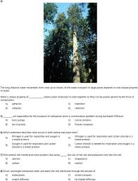 It lets some substances pass through rapidly and some substances pass through more slowly, but prevents other substances passing through it at all. Date Student Name Teacher Name Jared George Score 1 A Cell With 1 Solute Concentration Is Placed In A Beaker With A 5 Solute Concentration Pdf Free Download