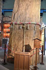 愛木村觀光工廠 嘉義 wood diy wood places
