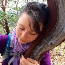 Gregg's Lynnwood Cycle, 5810 196th St SW, Lynnwood, WA 98036, US