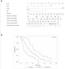 Survival rates for regional pancreatic cancer are around 12 percent, per the pcan. Survival Estimate Of Patients With Metastatic Pancreatic Cancer Download Scientific Diagram
