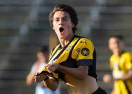On 10 march 1913, peñarol was declared a pueblo (village) by the act of ley nº 4.311. Penarol As Com