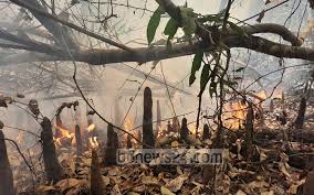 Ridoy babo viral video ridoybabo9. Sundarbans Fire Completely Doused Five Days After It Broke Out