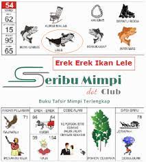 Erek Erek Ikan Lele Di Buku Mimpi 2d 3d 4d Dan Kode Alam Seribu Mimpi