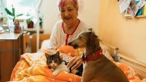 Rosalie lessard nudes Rosalie Lessard  rosalielessard_