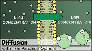 Diffusion Youtube
