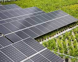 Check spelling or type a new query. Solar Pv Cell Cost Has Decreased An Incredible 99 Since 1977
