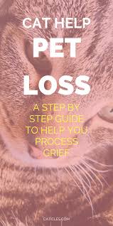 Maybe you would like to learn more about one of these? 210 Pet Loss Ideas In 2021 Pet Loss Grief Mixed Emotions