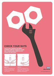 They are quite common and don't usually require treatment. Pin On Sexual Health
