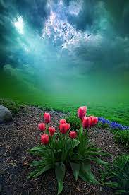 Tswv Lee Yang On Twitter Beautiful Landscapes Beautiful Nature Landscape Photography