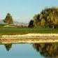 Eagle Amateur