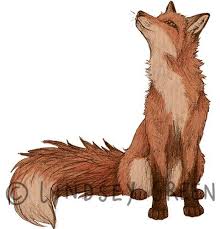 Fox Illustration By Lyndseygreen Red Fox Art Fox Illustration Fox Art Print