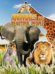 (1974) deserts and jungles provide the background for this fascinating study of african wildlife narrated by paddy o'byrne. Prime Video Animals Are Beautiful People