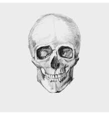 We did not find results for: Skull Pencil Draw Vector Images Over 210