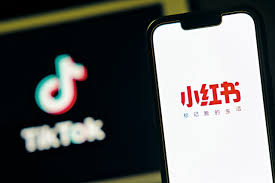 禁用前夕「TikTok難民」湧小紅書