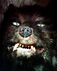 We did not find results for: Gmork Villains Wiki Fandom