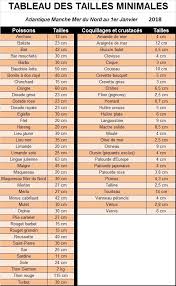 Tableau Des Tailles Minimales De Peche En Atlantique Manche Plus D Infos Sur Les Quantites Autorisees Sur Le Site Rubrique Reg Peche Peche En Mer Peche Poisson