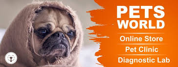This is a most modern place where legacy of experienced. Petsworld Petsworld294 Profile Pinterest