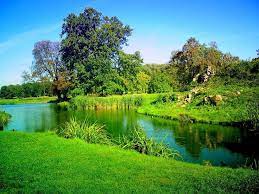 Nature Background Images Hd 2 Nature Desktop Hd Nature Wallpapers Nature Desktop Wallpaper