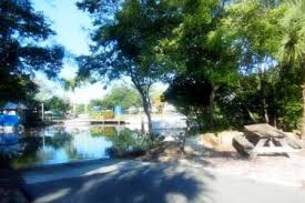 Buttonwood Inlet Rv Resort Resort Bradenton Florida Best Family Vacations