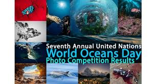 As the challenges to the ocean continue to grow, so does the need for novel solutions and the people driving them. Announcing The Winners Of The Seventh United Nations World Oceans Day Photo Contest X Ray Mag