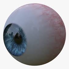 Realistic Human Eye 3d Model 3d Model Human Eye Modeling Techniques