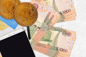 Convert 1 bitcoin to us dollar. 1000 Dollar Scheine Und Goldene Bitcoins Mit Smartphone Und Kreditkarten Foto Vorratig Crushpixel