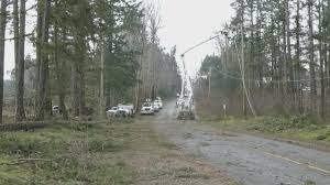 Check your manitoba hydro online account notification settings are. Squirrels And Beavers And Bears Oh My Bc Hydro Lists Year S Strangest Power Outages Bc Globalnews Ca