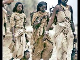 2 aastat tagasi 11 967 2:20. Walaloo Afaan Oromoo Dr Zelalem Abera Youtube