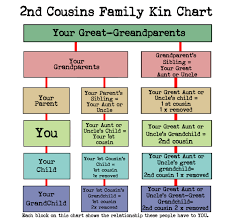 What Cousin Are They How To Understand Family Relationships Root To Branches Cousin Relationships Family Relationship Chart Family History Quotes