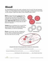 Image result for Neonatal Worksheets