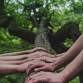 Reiki Share — TamKira event image