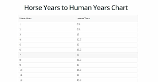 Horse Years To Human Years Chart Horsey Hooves