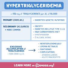 Image result for Hypertriglyceridemia