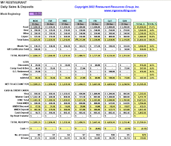 Restaurant Hotel Daily Sales Report Template Excel Template124