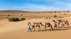 Click to book customized rajasthan holiday package & get exciting deals for rajasthan holiday packages. Rajasthan Land Of The Maharaja Palaces Andbeyond