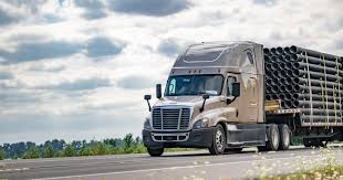 Image result for Tan 2025 Fleet