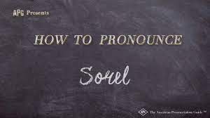 /sɔɹən pitɹ̩ lɔɹɪts sɔɹɪnsən/ derived form of peter How To Pronounce Sorel Sorel Pronunciation Youtube