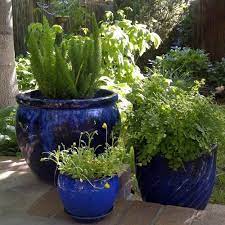 Images Of Potted Flowers Potted Plant Ideas Grouping Potted Plants Together Plant Life Online Potted Plants Outdoor Flower Pots Outdoor Potted Plants Patio