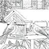 Simply do online coloring for bird house outline coloring pages directly from your gadget, support for ipad, android tab or using our web feature. 1