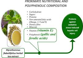 Image result for Myrothamnus flabellifolius