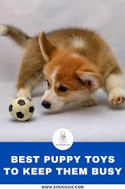 Best Puppy Toys To Keep Them Busy In 2020 Best Puppies Toy Puppies Puppies