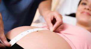 fetal growth chart length and weight babycenter india