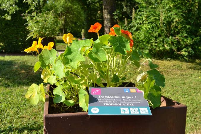 Herba Sana - B&uuml;tgenbach Tourist Info