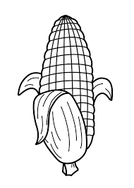 Check spelling or type a new query. Mewarnai Gambar Gambar Mewarnai Jagung Siapa Yg Suka Jagung Kamu